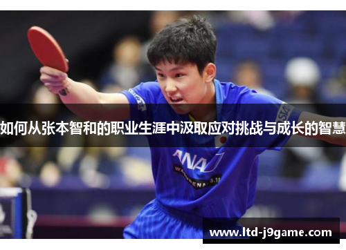 如何从张本智和的职业生涯中汲取应对挑战与成长的智慧