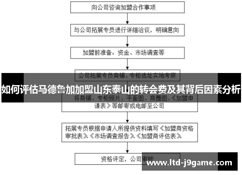 如何评估马德鲁加加盟山东泰山的转会费及其背后因素分析