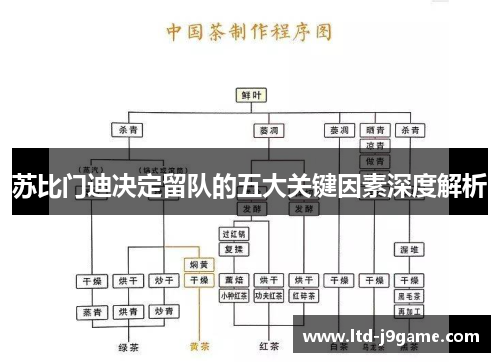 苏比门迪决定留队的五大关键因素深度解析