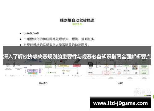 深入了解欧协联决赛规则的重要性与观赛必备知识指南全面解析要点