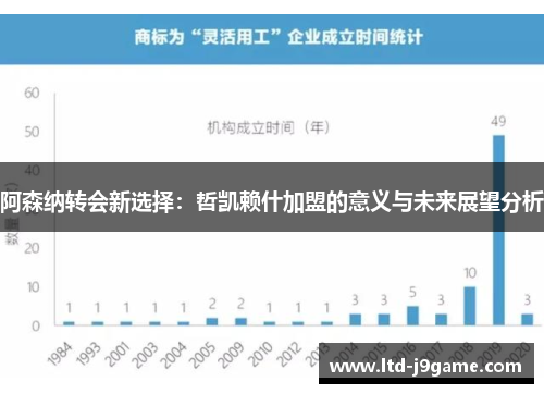 阿森纳转会新选择：哲凯赖什加盟的意义与未来展望分析